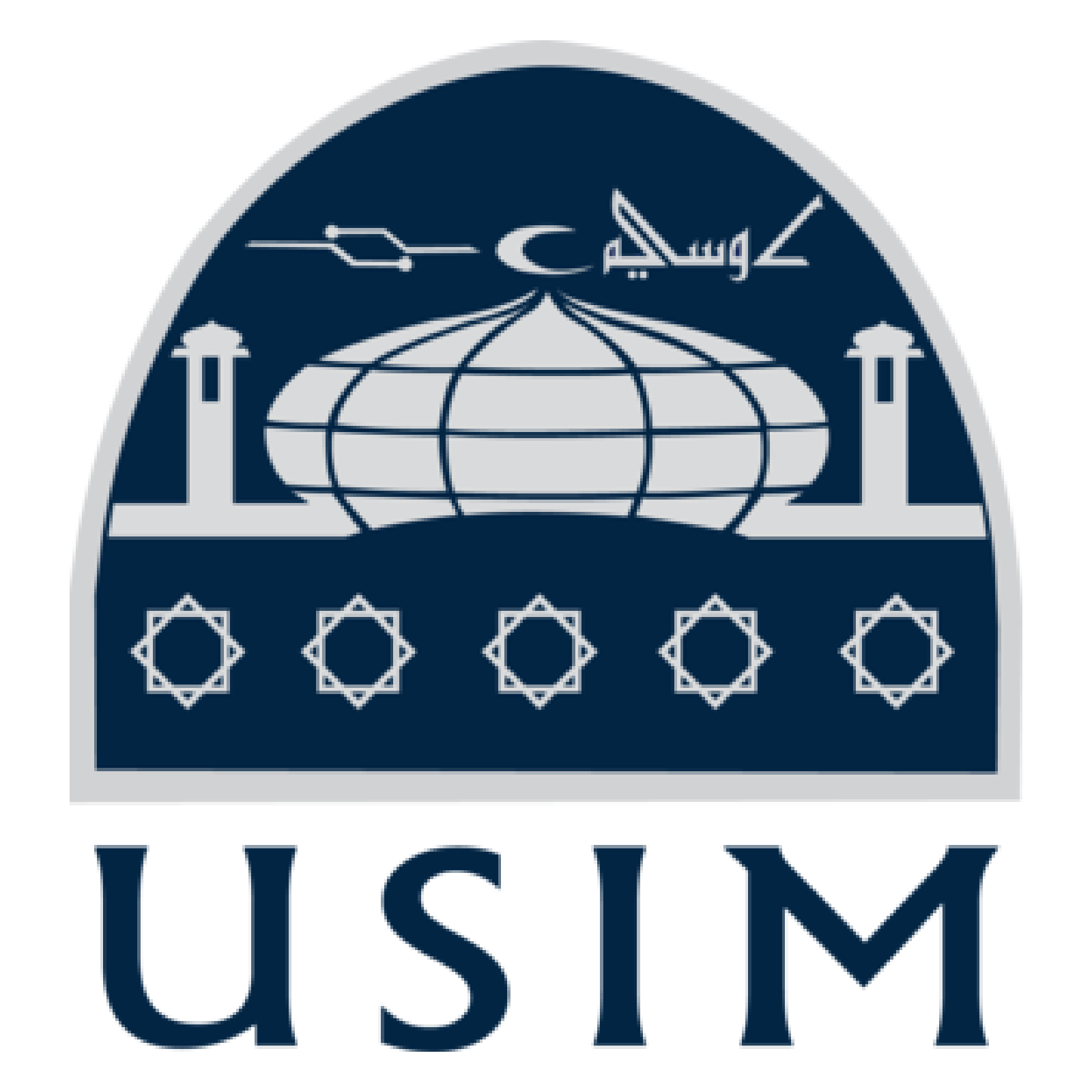 USIM-01.png
